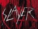 SLAYER - VINYL CONFLICT NEW VINYL