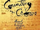 Counting Crows: August And Everything After (2LPs @45RPM)