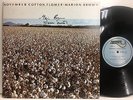 MARION BROWN november cotton flower AUTOGRAPHED BAYSTATE