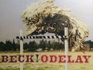 Beck - Odelay Album Color Vinyl 12