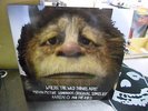 Karen O Where The Wild Things Are OST LP NEW CLEAR Haze Colored vinyl