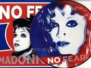MADONNA - NO FEAR PICTURE DISC VINYL 12