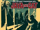 JAYA THE CAT - MORE LATE NIGHT TRANS- NEW VINYL