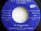 ENCHANTERS Spellbound By The Moon 45 Very Rare Detroit Doo Wop Stardust Label
