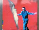 PETER GABRIEL - US - Vinyl -1992 - VINYL + COVER = EXCELLENT
