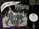 1969 THE FIREBIRDS   RAW & WILD  FUZZ Garage BLUE CHEER + HENDRIX TRASHY TEENS