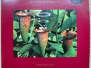 Various - Artificial Intelligence II (2 x Vinyl, LP & Ltd 12)