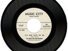 THE MUSIC CITY SOUL BROTHERS  