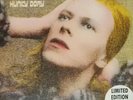 David Bowie - Hunky Dory Gold Vinyl LP album New Sealed