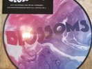 BLOSSOMS LIVE....PICTURE DISC LIMITED 10