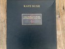 Kate Bush This Woman's Work Vinyl Box Set  Complete