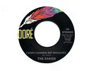 The Zanies 45 I Don't Wanna Get Involved - Scarce Garage - HEAR
