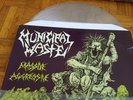 MUNICIPAL WASTE MASSIVE AGGRESSIVE CLEAR LP NOFX IRON REAGAN AGNOSTIC FRONT