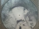 Vinyl - Current 93 - In Menstrual Night - Picture LP