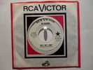 The Lollipops  RCA 8430 Promo Billy, Billy, Baby b/w Big Brother  60's NY Soul
