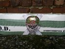 OFFICIAL S.O.D STORMTROOPERS OF DEATH  SKATEBOARD anthrax slayer m.o.d metallica