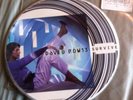 David Bowie Survive /Seven Rare Picture Disc  7