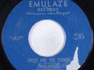 Sweet Soul Funk 45 EMULATIONS These Are The Things EMULATE VG+ HEAR