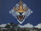 Amboy Dukes (US) Call Of The Wild vinyl LP album record UK ED278 EDSEL 1989