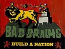 BAD BRAINS-BUILD A NATION  VINYL LP NEUF