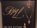 Big L - The Big Picture (1974 - 1999) 2xLP (NEVER PLAYED)