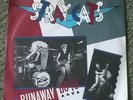 stray cats 7