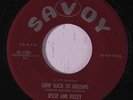 JESSE AND BUZZY: Going Back To Orleans / Without Your Love 45 (harp )