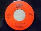 Don Pensinger/George Bollinger 45 ZAP 1015 E Condition What Can I Do/Bottle's On