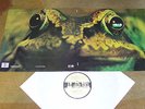 Toad - Same - Prog. Rock LP 33 U-min.