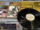LP SONIC YOUTH SISTER 1987 BLAST FIRST INNER SLEEVE