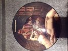 Rammstein Picture LP Liebe ist für alle da