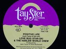 LOVE BUG STAR-SKI & THE HARLEM WORLD CREW Positive Life 12