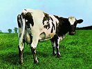 PINK FLOYD-ATOM HEART MOTHER (GATE) (OGV)  VINYL LP NEUF