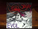 Sonic youth - Evol 1986 lp greece