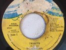 HOPETON LINDO - TRIBUTE - AQUA ( DIGI 7 ) TEMPO RIDDIM