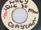 GAYLADS - WHA SHE DO NOW - BLANK ( VERY RARE SKINHEAD 7 )
