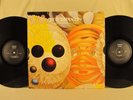 LED ZEPPELIN Bonzo's Birthday Party LIVE 1973 2 LP TMOQ TAKRL ZAP IMP WIZARDO