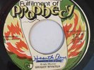 BRIGHT WYNTER - HEART OF MOUNT ZION - FULFILMENT OF PROPHECY ( RARE ROOTS 7 )