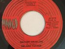 DELANO TUCKER - GATHER ISRAELITE - MANGO ( ROOTS REGGAE 7 )