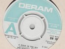 Flower Pot Men A walk in the sky Deram DM 160 EX Demo