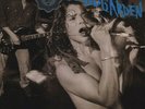 Soundgarden - Screaming Life / FOPP Black Vinyl LP Album Seattle Grunge Record