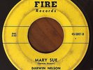 DARWIN NELSON - Mary Sue | RARE primitive rockabilly garage Fire 45 HEAR