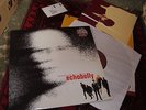 Echobelly - Everyone's got one - RARE Vinyl LP album 1994 (With Poster)