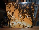 GAS KONIGSFORST MILLE PLATEAUX ELECTRONIC GLITCH AMBIENT WOLFGANG VOIGT