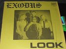 EXODUS Look LP RARE STRANGE PRIVATE MN OUTSIDER LONER XIAN FOLK PSYCH