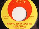 hear: JESSIE JAMES Are You Gonna Leave Me RARE northern soul 45 on Shirley