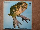 Vinyl. BRAINCHILD: HEALING OF THE LUNATIC OWL. 1970. AMLS 979. RARITÄT