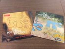 The Reindeer Section - Both Very Rare LPs - Arab Strap - Mogwai - Snow Patrol.