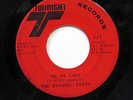 THE DYNAMIC TINTS-BE MY LADY /FALLING IN LOVE ON TWINIGHT 70S SOUL 45