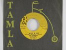 Northern Soul 45 SUPREMES I Want a Guy TAMLA HEAR